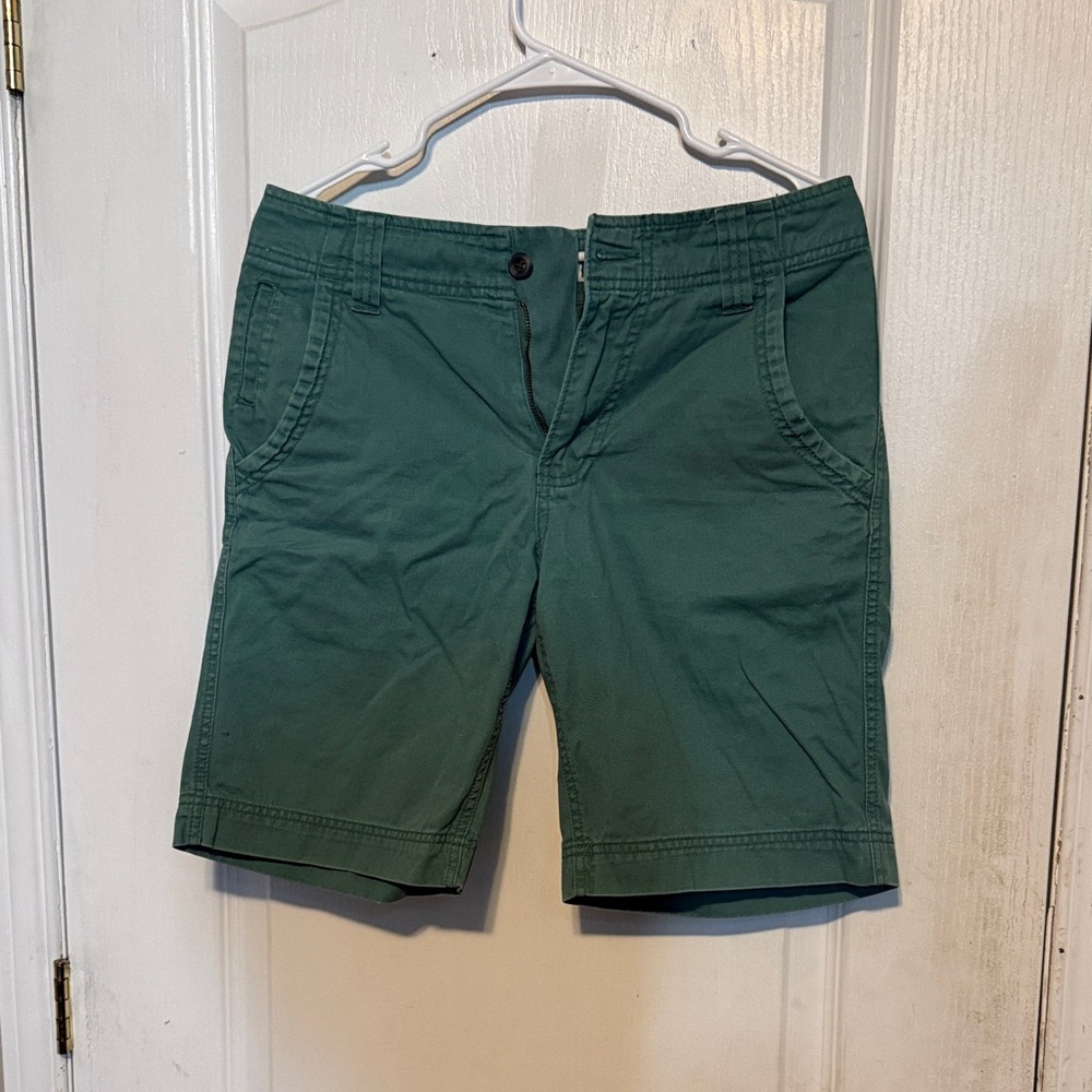 Mossimo Supply Co. Men's Teal Flat Front Shorts